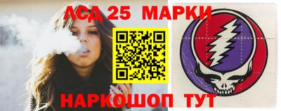 винт Владимир